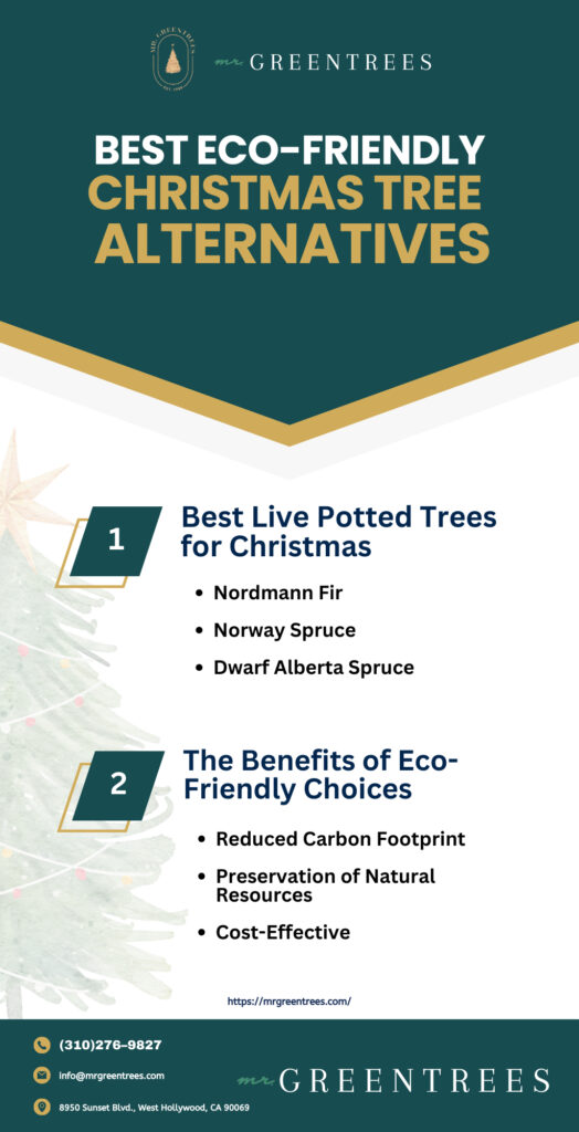 Best Eco-Friendly Christmas Tree Alternatives