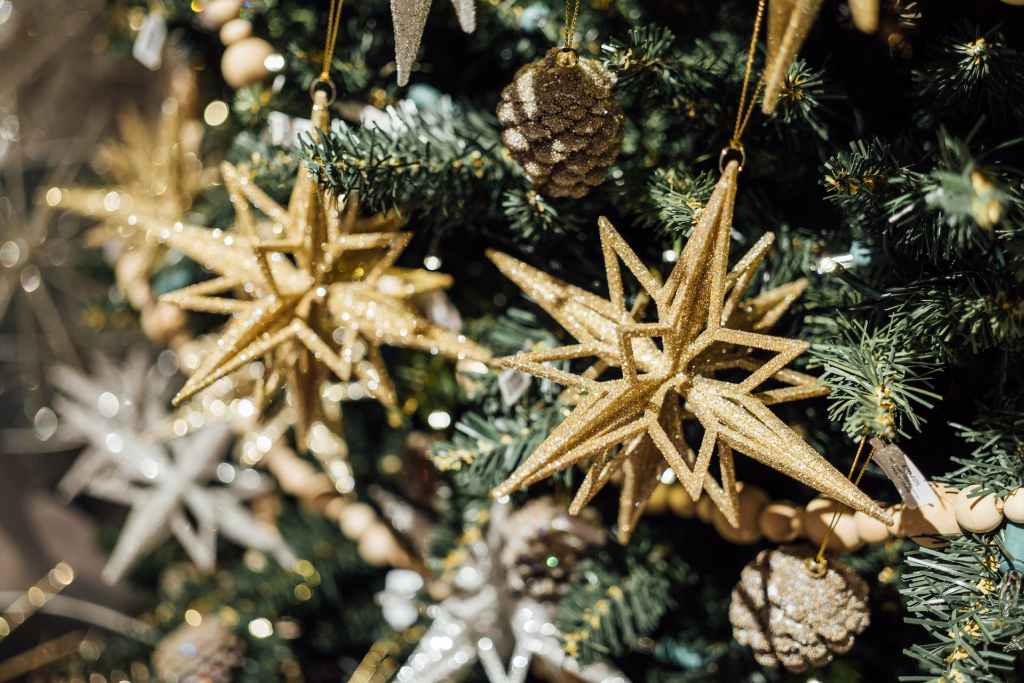 Eco-Friendly Christmas Tree Alternatives