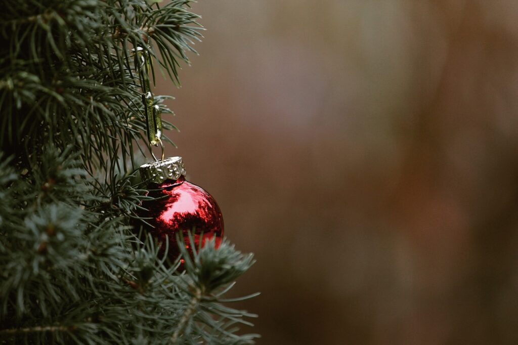 a christmas decoration hanging on a tree