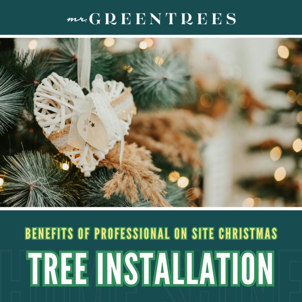 Benefits of Professional On Site Christmas Tree Installation