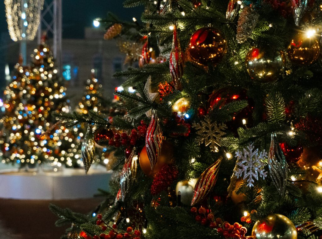 decorated christmas trees with glowing lights at night