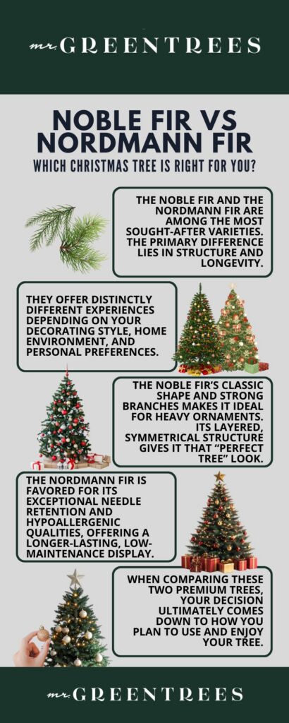 Noble Fir vs Nordmann Fir: Which Christmas Tree Is Right for You