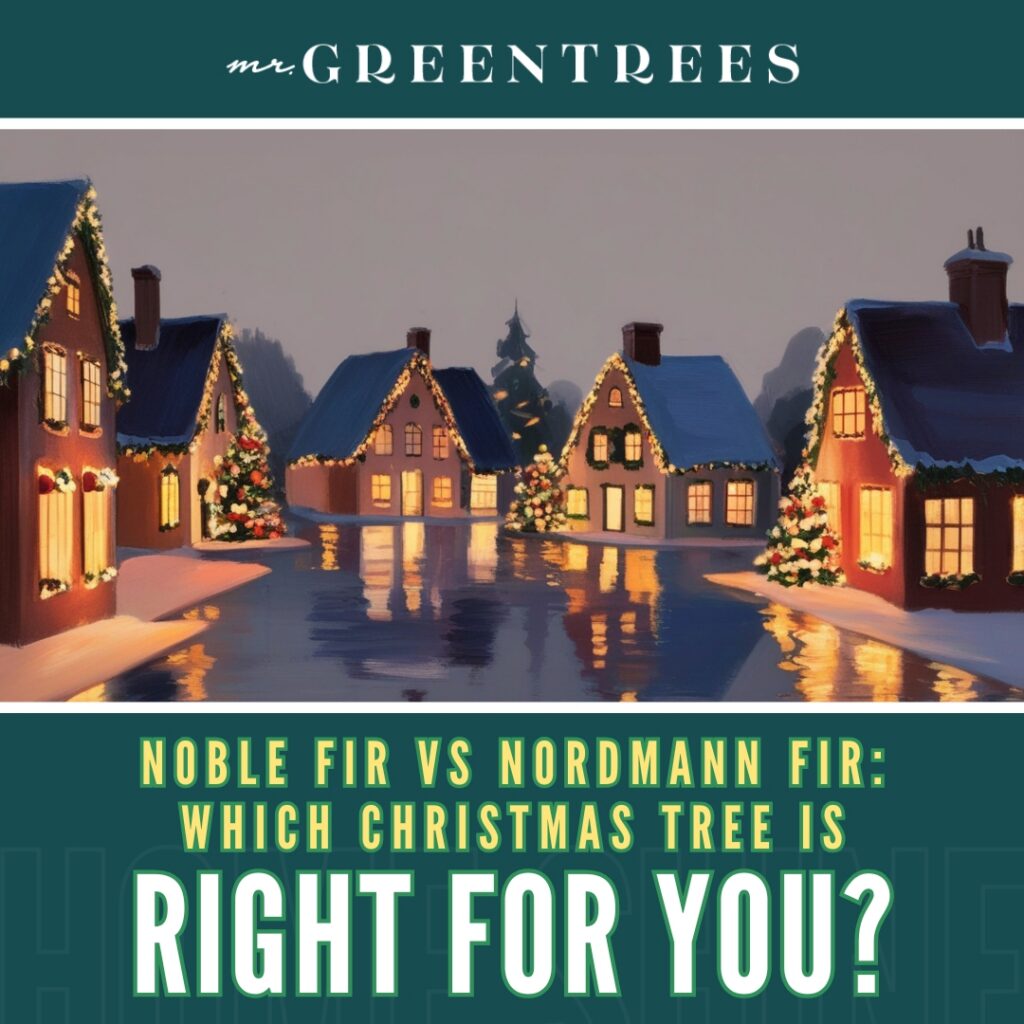 Noble Fir vs Nordmann Fir: Which Christmas Tree Is Right for You