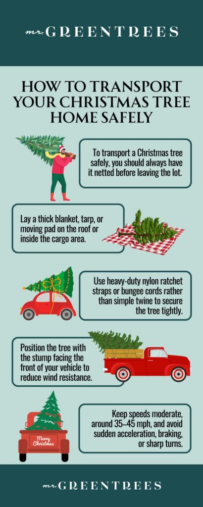 How to Transport Your Christmas Tree Home Safely