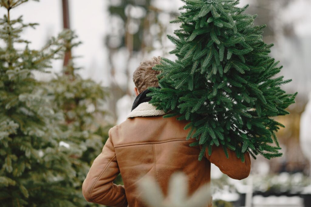 a man wearing brown winter jacket holding a spruce plant