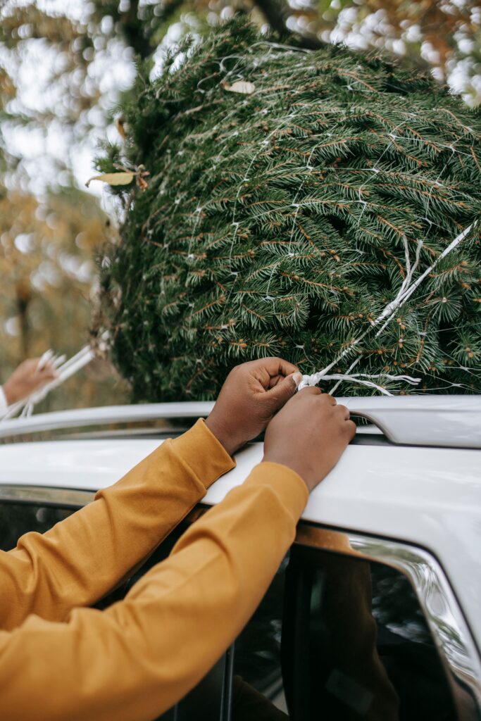 a person tying spruce on automobile roof